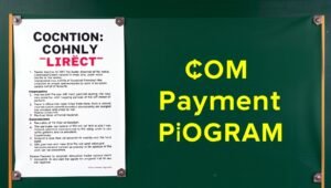 custom payment programgeeks
