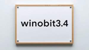 winobit3.4