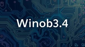winobit3.4 software error